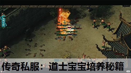 传奇私服:道士宝宝培养秘籍 传奇私服:道士宝宝培养秘籍