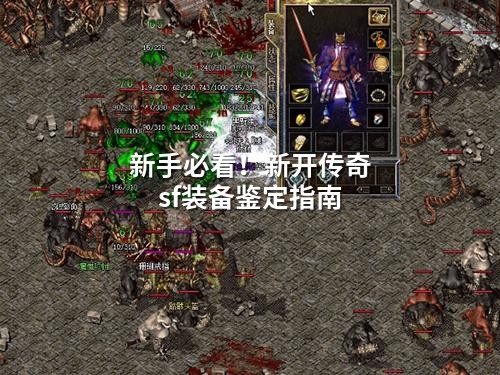 新手必看!新开传奇sf装备鉴定指南