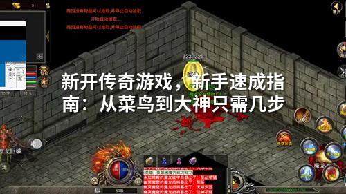 新开传奇游戏,新手速成指南:从菜鸟到大神只需几步