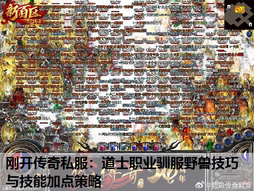 刚开传奇私服：道士职业驯服野兽技巧与技能加点策略