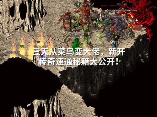 三天从菜鸟变大佬,新开传奇速通秘籍大公开!